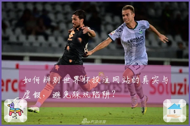 如何辨别世界杯投注网站的真实与虚假，避免踩坑陷阱？