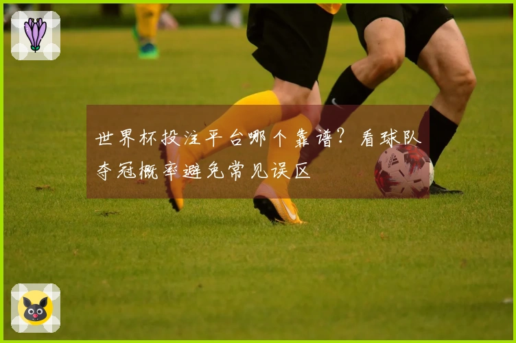 世界杯投注平台哪个靠谱？看球队夺冠概率避免常见误区