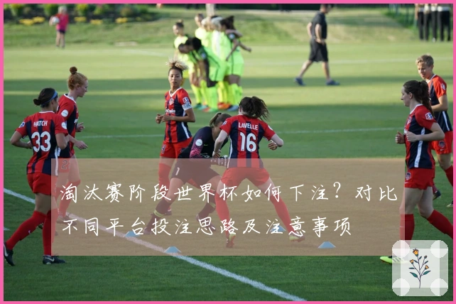 淘汰赛阶段世界杯如何下注？对比不同平台投注思路及注意事项