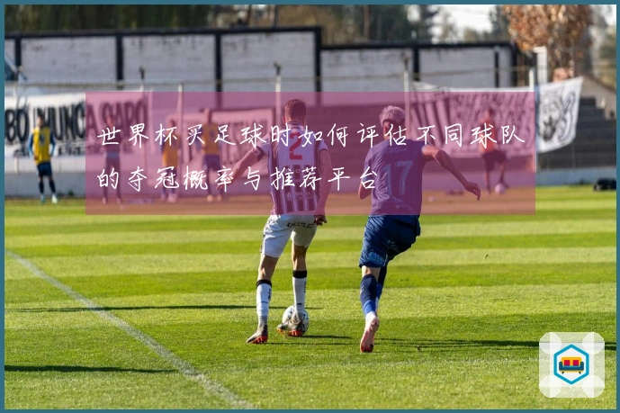 世界杯买足球时如何评估不同球队的夺冠概率与推荐平台