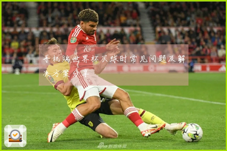 手机端世界杯买球时常见问题及解决方案分享