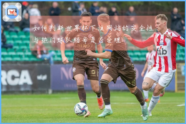 如何判断世界杯下注网站的安全性与热门球队赔率是否合理