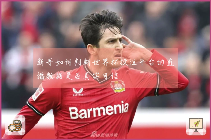 新手如何判断世界杯投注平台的直播数据是否真实可信