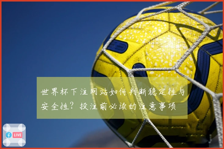 世界杯下注网站如何判断稳定性与安全性？投注前必读的注意事项
