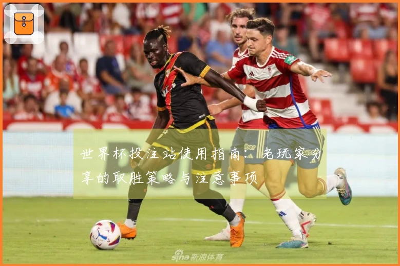 世界杯投注站使用指南：老玩家分享的取胜策略与注意事项