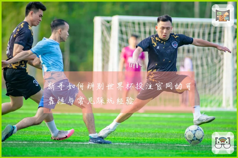 新手如何辨别世界杯投注官网的可靠性与常见踩坑经验