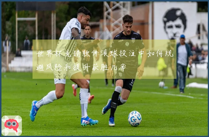 世界杯竞猜软件滚球投注中如何规避风险和提升获胜几率