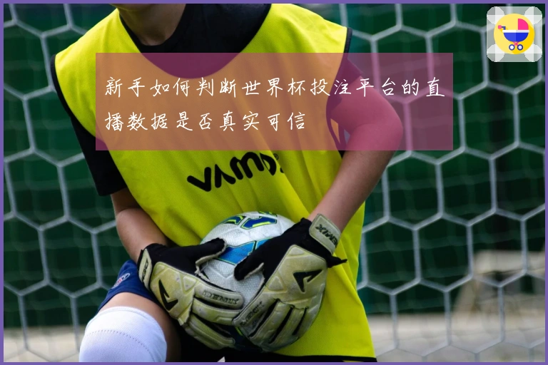 新手如何判断世界杯投注平台的直播数据是否真实可信