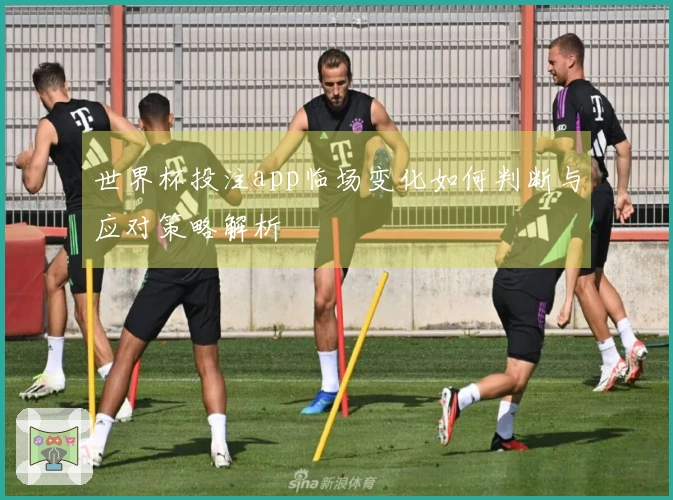 世界杯投注app临场变化如何判断与应对策略解析