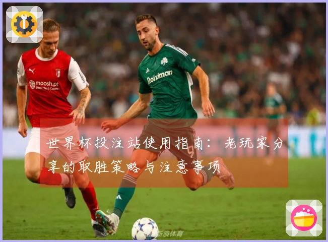世界杯投注站使用指南：老玩家分享的取胜策略与注意事项