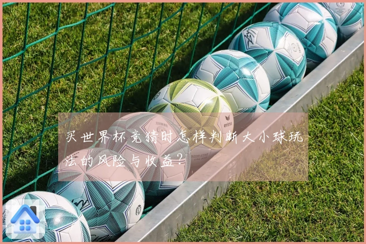 买世界杯竞猜时怎样判断大小球玩法的风险与收益？