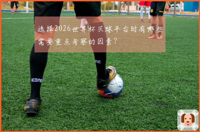 选择2026世界杯买球平台时有哪些需要重点考察的因素？
