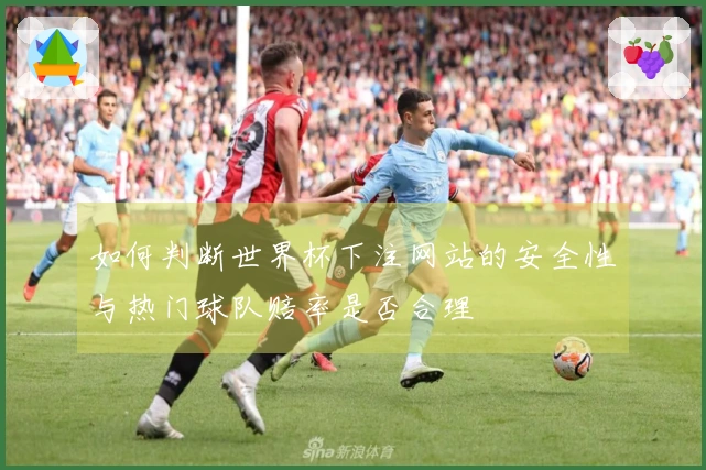 如何判断世界杯下注网站的安全性与热门球队赔率是否合理