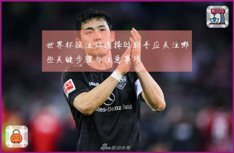 世界杯投注站选择时新手应关注哪些关键步骤与注意事项