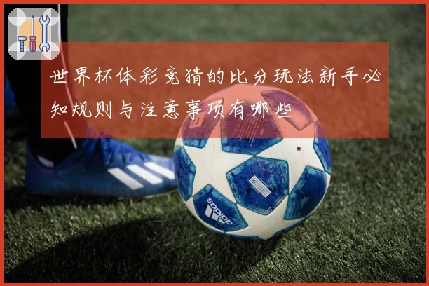世界杯体彩竞猜的比分玩法新手必知规则与注意事项有哪些
