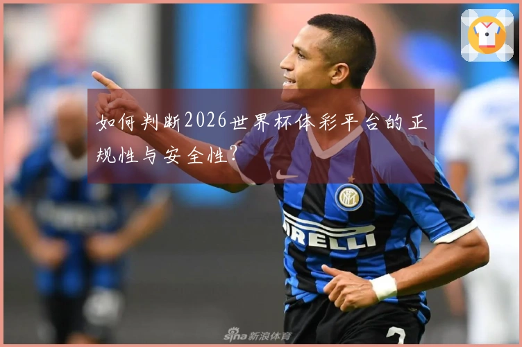 如何判断2026世界杯体彩平台的正规性与安全性？