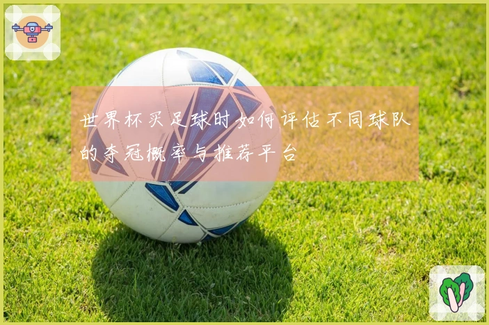 世界杯买足球时如何评估不同球队的夺冠概率与推荐平台