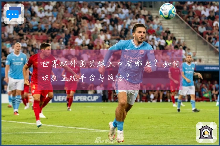 世界杯外围买球入口有哪些？如何识别正规平台与风险？