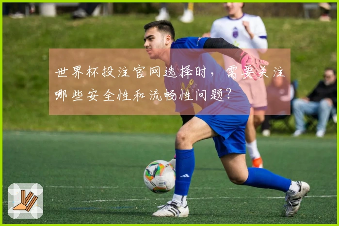 世界杯投注官网选择时，需要关注哪些安全性和流畅性问题？