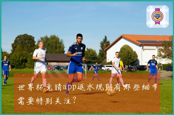世界杯竞猜app返水规则有哪些细节需要特别关注？