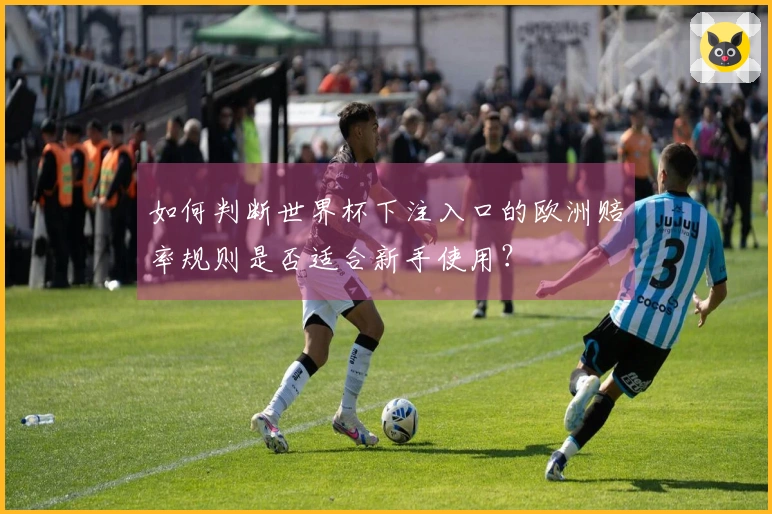如何判断世界杯下注入口的欧洲赔率规则是否适合新手使用？