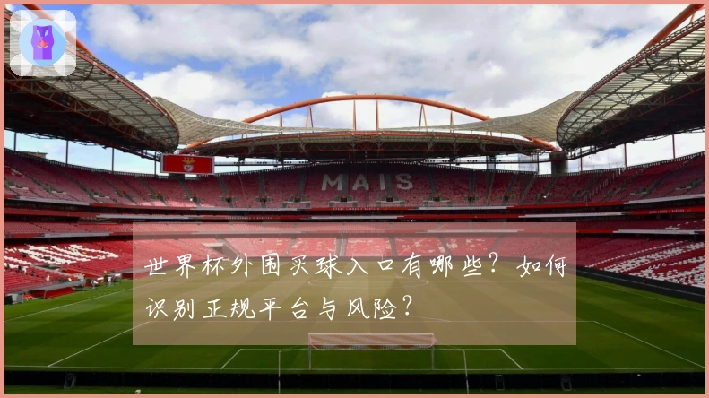 世界杯外围买球入口有哪些？如何识别正规平台与风险？