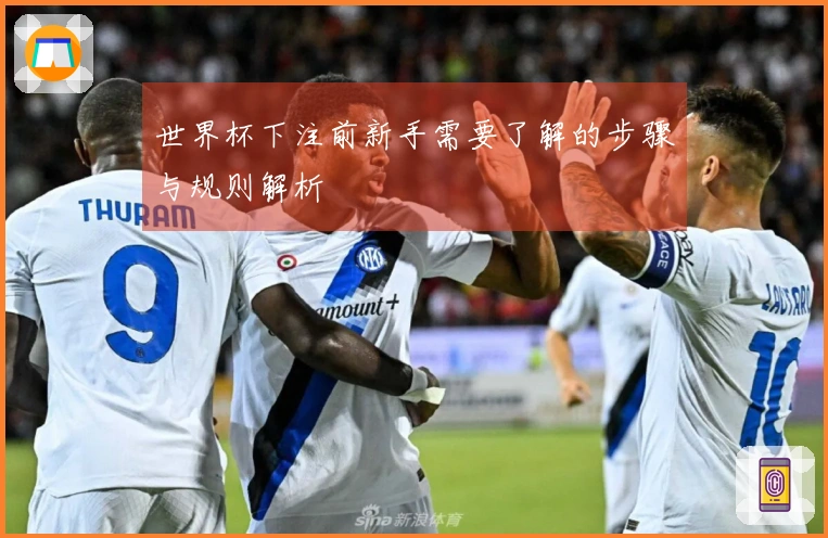 世界杯下注前新手需要了解的步骤与规则解析