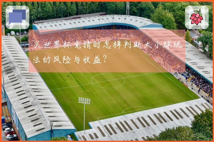买世界杯竞猜时怎样判断大小球玩法的风险与收益？