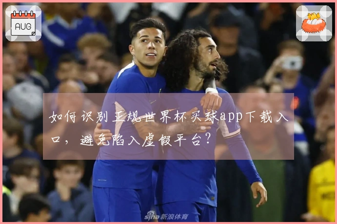 如何识别正规世界杯买球app下载入口，避免陷入虚假平台？