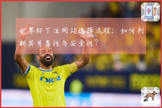 世界杯下注网站选择流程：如何判断其可靠性与安全性？